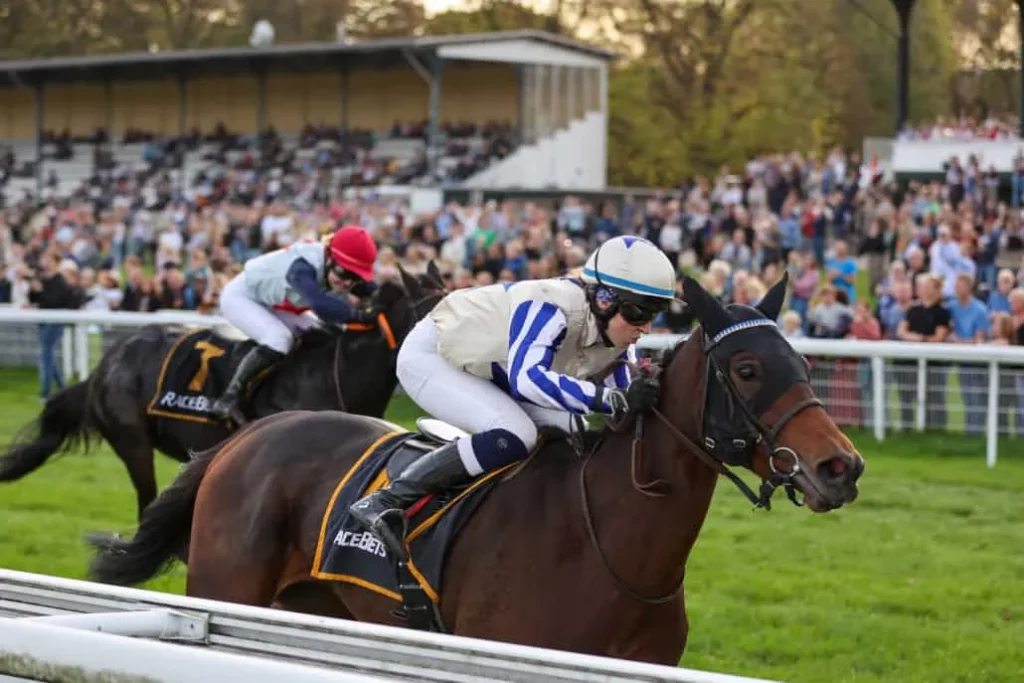 Herbstrenntag-@-sabine-effgen-1030x687