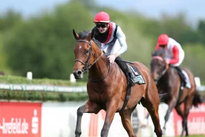 Maigret siegt unter Lukas Delozier im Dr. Busch-Memorial - Gr.3