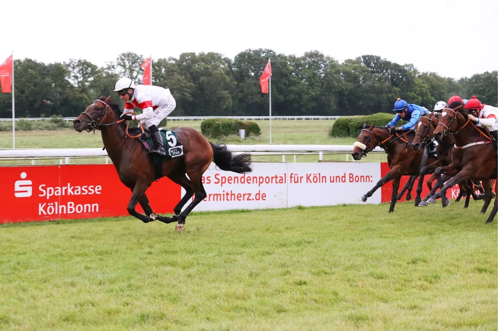 Narrativo ( Adrie de Vries )