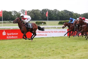 Narrativo ( Adrie de Vries )