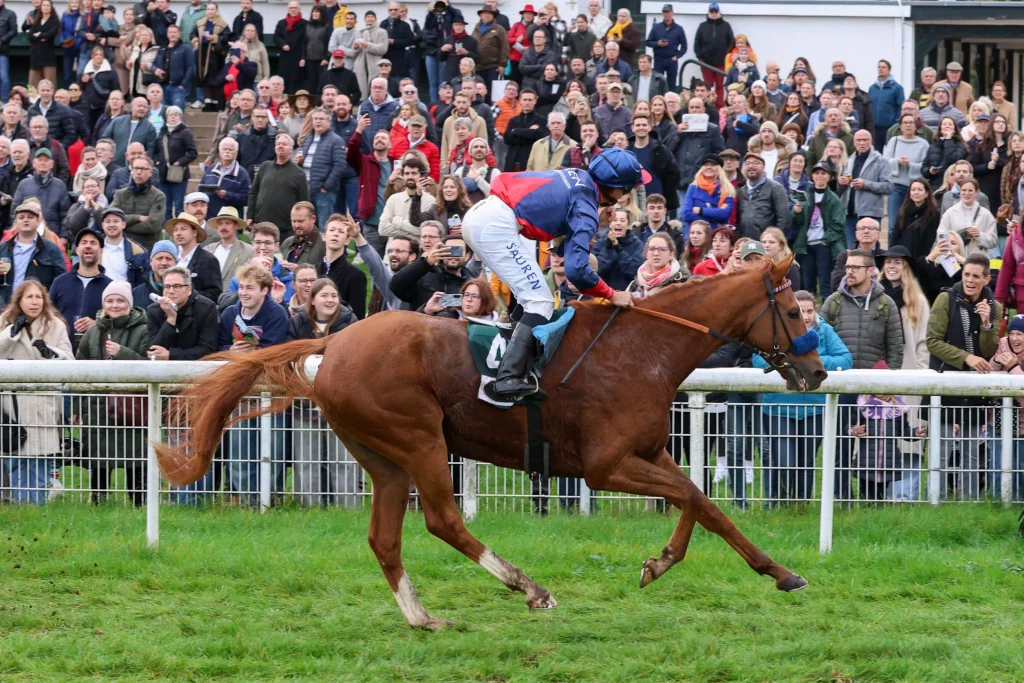 Flatten the Curve gewinnt unter Thore Hammer Hansen das Silberne Pferd G3_copyright sabine.effgen-3