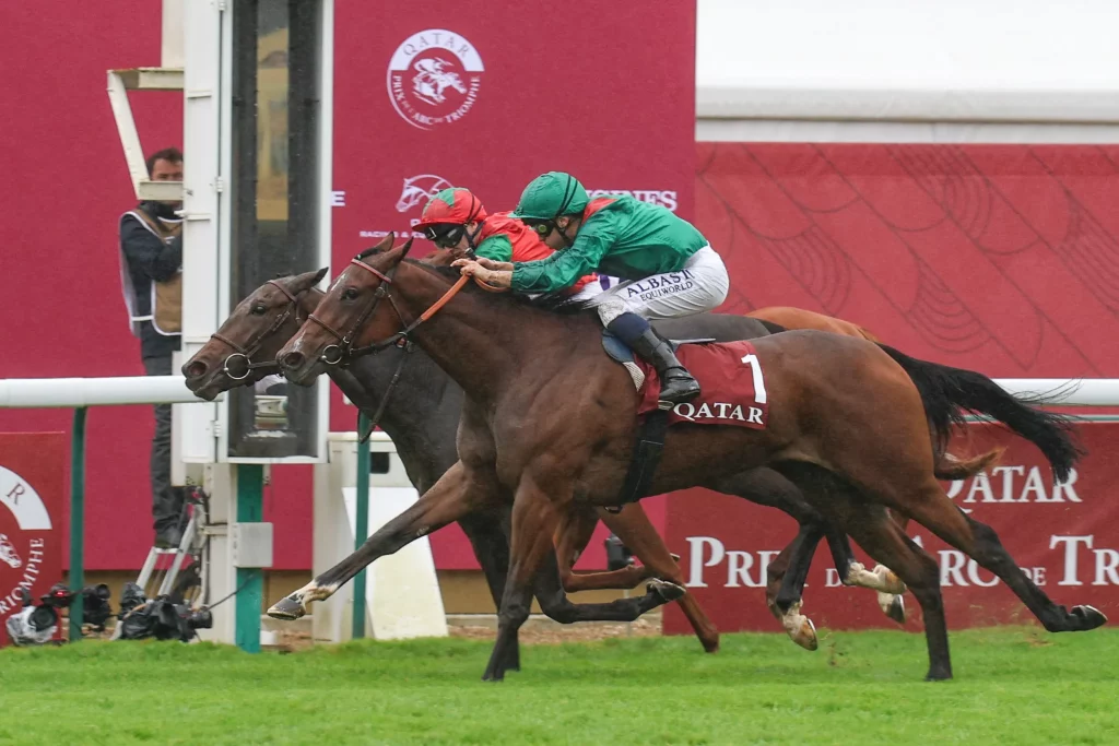 Vertical-Blue-gewinnt-Marcel-Boussac241006