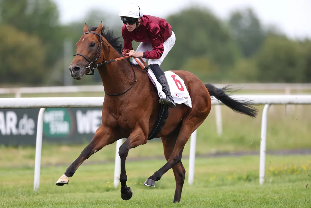 Schiergen siegt unter Leon Wolff