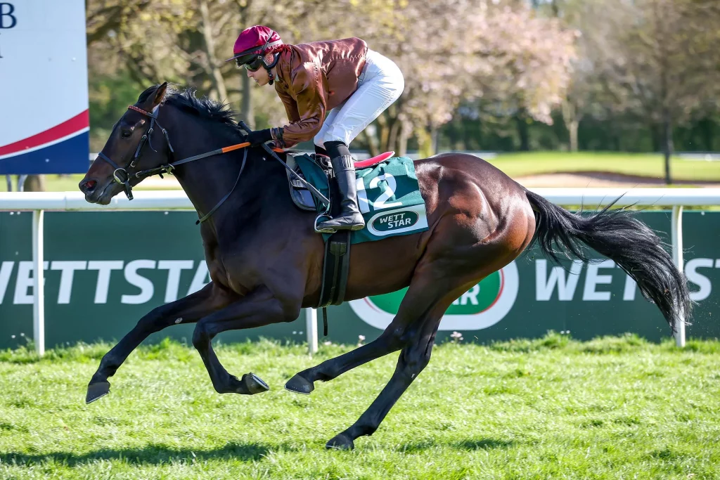 Zuckerhut siegt unter Sibylle Vogt