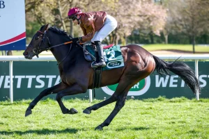 Zuckerhut siegt unter Sibylle Vogt