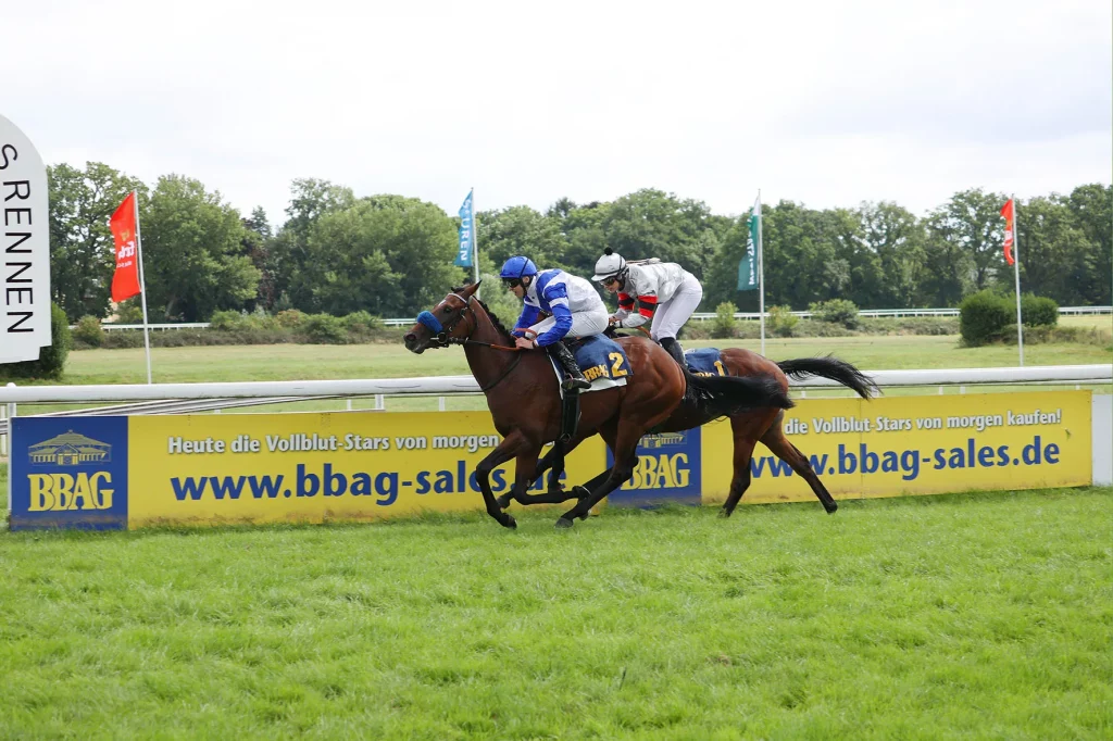 Voitton ( Leon Wolff )