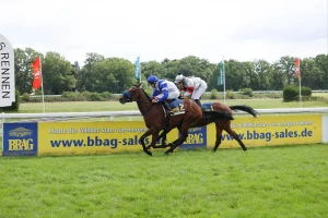 Voitton ( Leon Wolff )