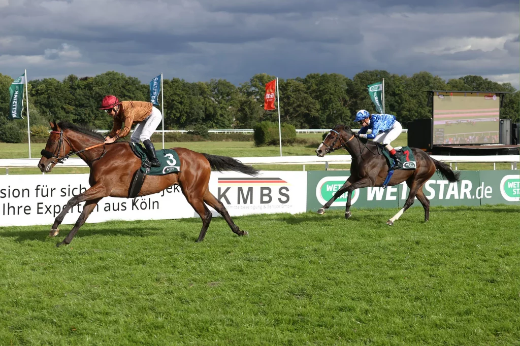 Love Me Tender ( Esentur Turganaaly Uulu )