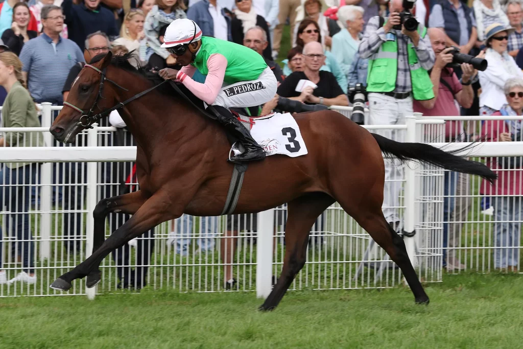 Gostam-in-Baden-Baden