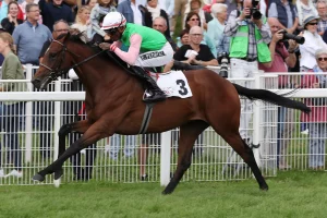 Gostam-in-Baden-Baden