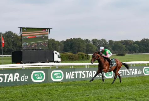 Gostam gewinnt unter Eduardo Pedroza im WETTSTAR.de - Preis des Winterfavoriten, G III