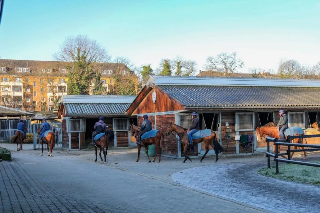 Asterblute2_web-1030x687-1