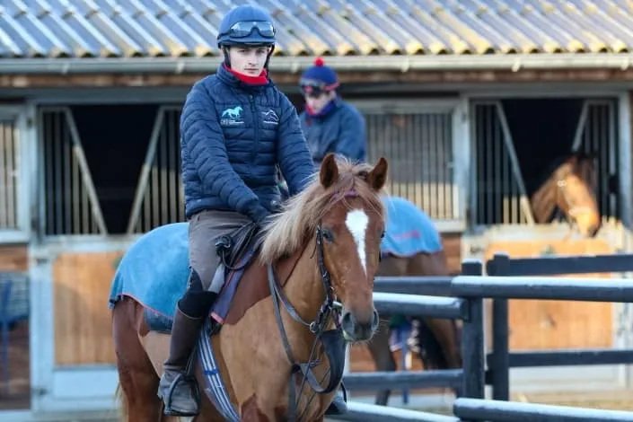 Asterblute3_web-705x470-1