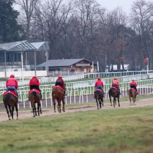 Hickst1_web-1030x687-1