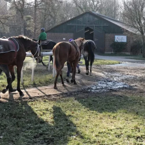 Suborics3_web-1030x687-1