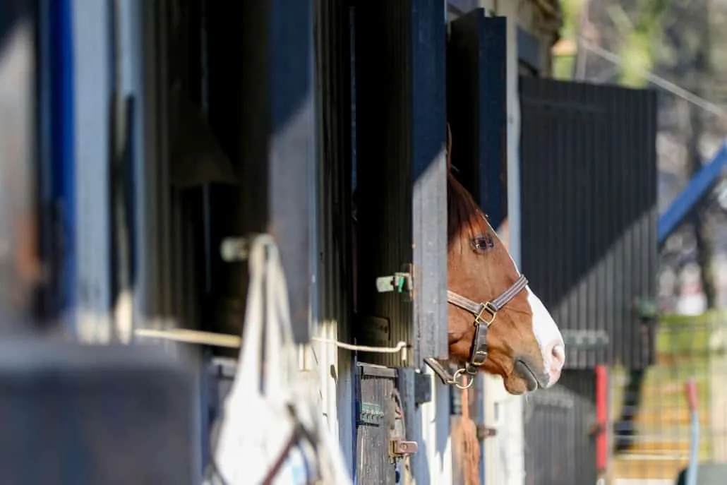 Weis1_web-1030x687-1