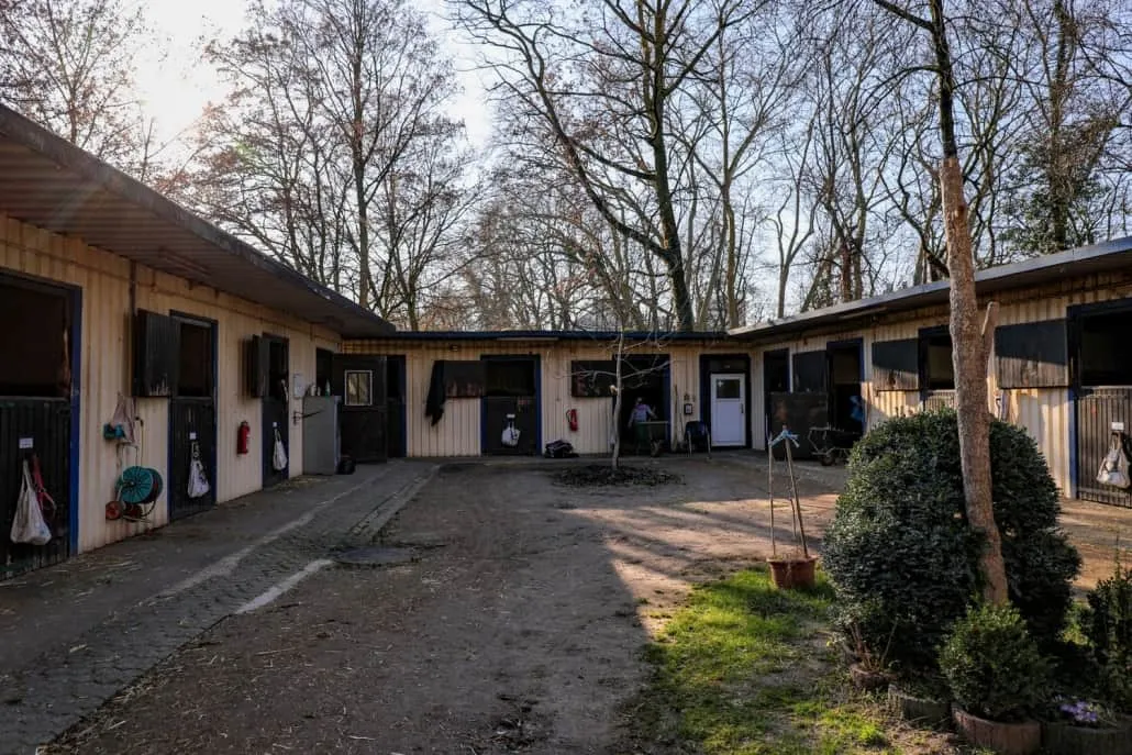 Weis2_web-1030x687-1