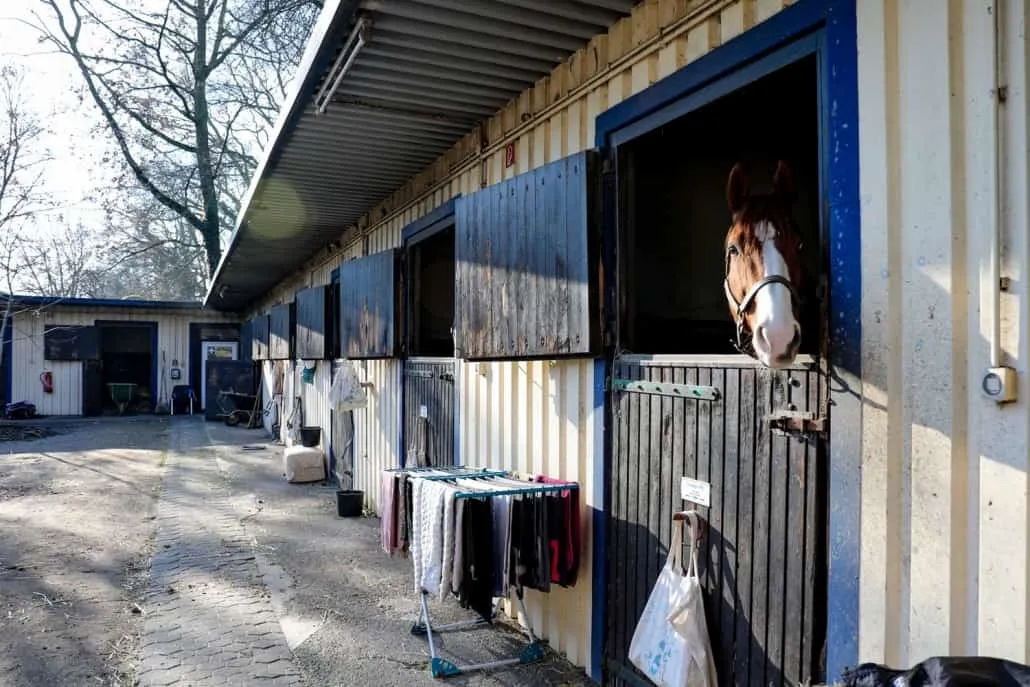 Weis3_web-1030x687-1