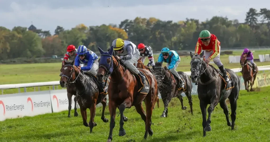 02.11-qxr7qahfeo8wxwfo75f1grdlg6108u6m6a5m4p4hv4 (1)