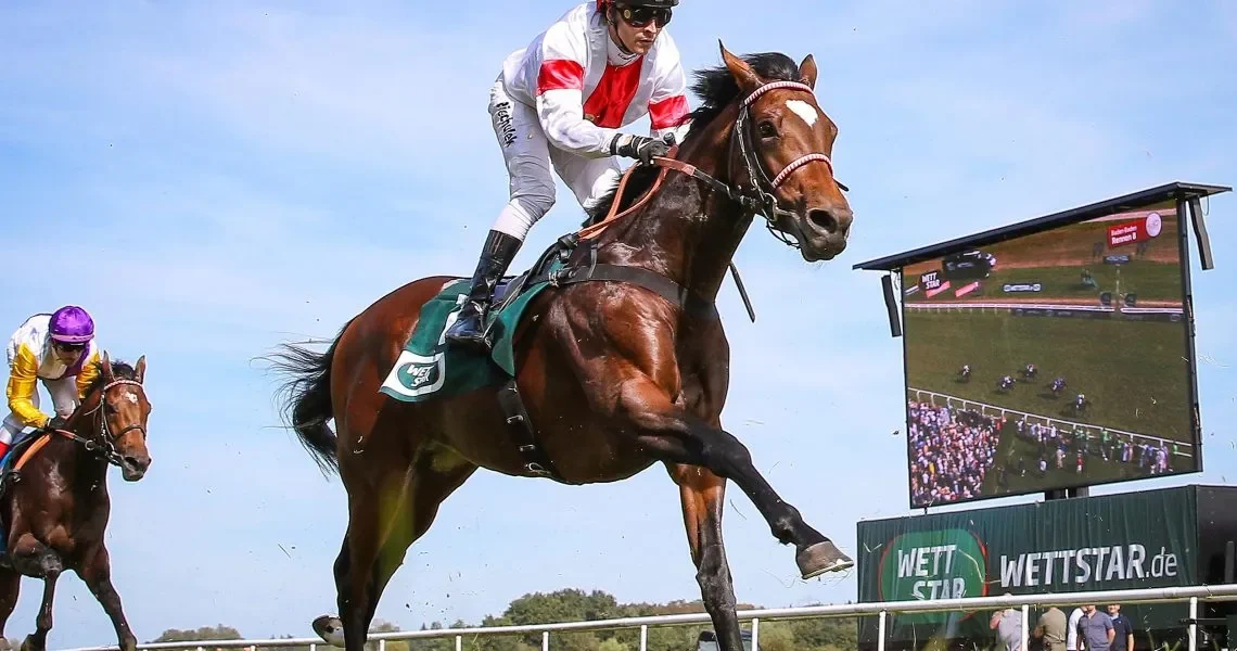 Alleno-unter-Rene-Piechulek-1-rc9qo9chcrqkr2ev1yvuj7ywub5jqfap18499avlgw