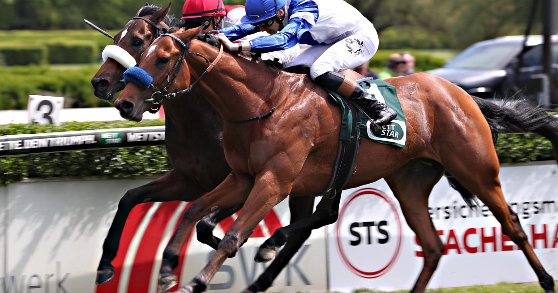 Asker siegt unter Leon Wolff im Der große Business-Banking-Cup - Dr. Busch-Memorial, Gr.3 am 26.04.2026 beim Renntag in Krefeld. Copyright by Marc Ruehl - Veroeffentlichung nur gegen Honorar (zzgl.MwSt), Namensnennung und Beleg, Bank Routing Number: BIC GENODED1PAF, Bank Account Number: IBAN DE04 3706 2600 1201 6180 17, Steuer-Nr.: 203/5266/0306, Ust_Id_Nr.: De 122081417, Zur Gaulshuette 29, 50181 Bedburg, Phone: +49-(0)2272-83351, www.marcruehl.com, info@marcruehl.com, No Model Release, Abtretung von Persoenlichkeitsrechten der abgebildeten Person/Personen liegen nicht vor. Speichern in Bilddatenbanken oder Vervielfaeltigung ist ohne schriftliche Genehmigung nicht gestattet.