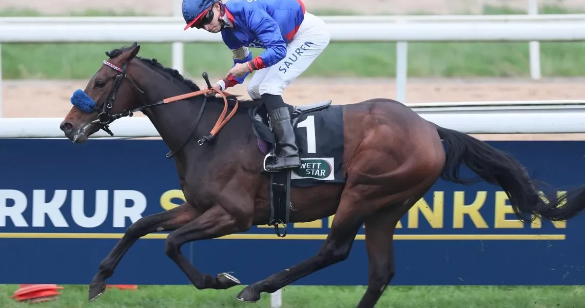 Assistent-siegt-unter-Thore-Hammer-Hansen-im-Grand-Prix-Aufgalopp-2024-L-r3h25595smwu7r2of1rpa1zgfaq41pv4z7uymfdzlc