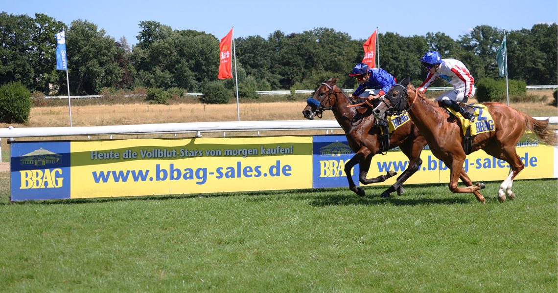 Ort : Köln
Datum : 01.082026
Rennen : 4 BBAG Auktionsrennen - 1.300 m
Sieger : Dimitri
Reiter : Thore Hammer-Hansen
Besitzer : Eckhard Sauren
Trainer : Henk Grewe
Copyright by Klaus-Joerg Tuchel - Siriusweg 16 - 42697 Solingen
Telefon ( Fon ) 0049 (0) 212 335925
Mobil 0172 256 1954
www.klatuso.com
mail@klatuso.com
Umsatzsteuer Identifikationsnummer - DE 120923039
Mehrwertsteuersatz 19% Stand 01.01.2007
Bankverbindung : auf Anfrage