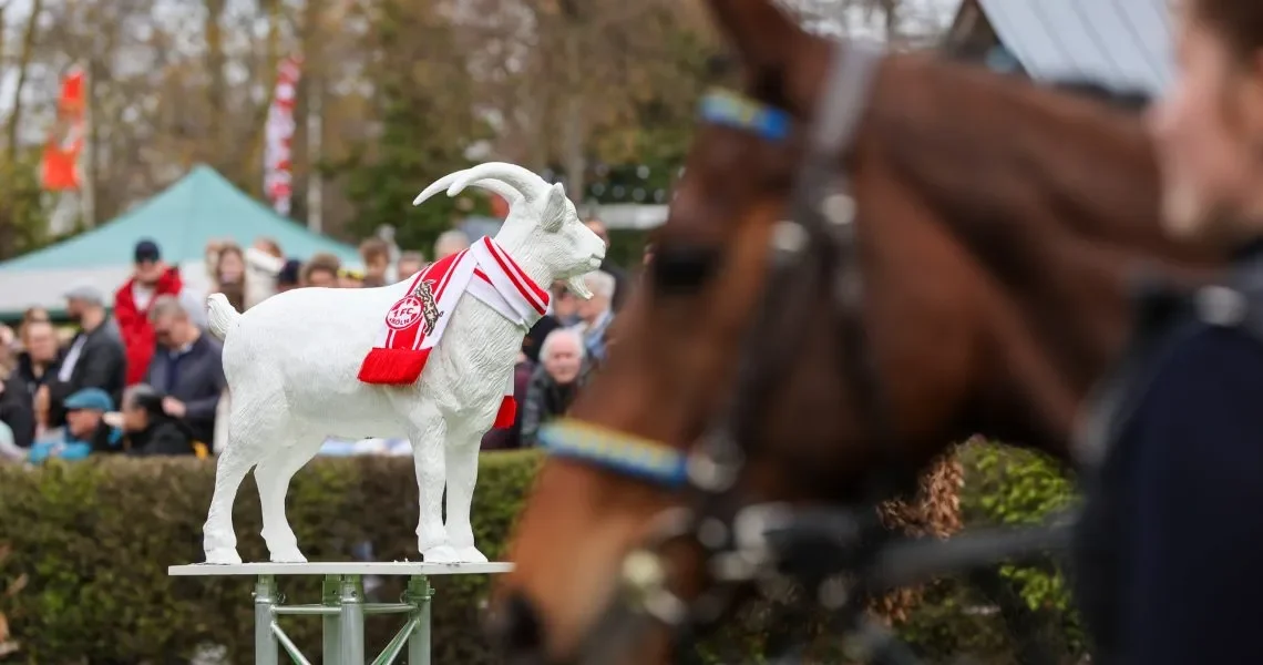 FC-Renntag_Impressionen-@-sabine-effgen-89-r4foscsi7d5zrniocu19pfy3h0tbyy7qyoi9p2jckw