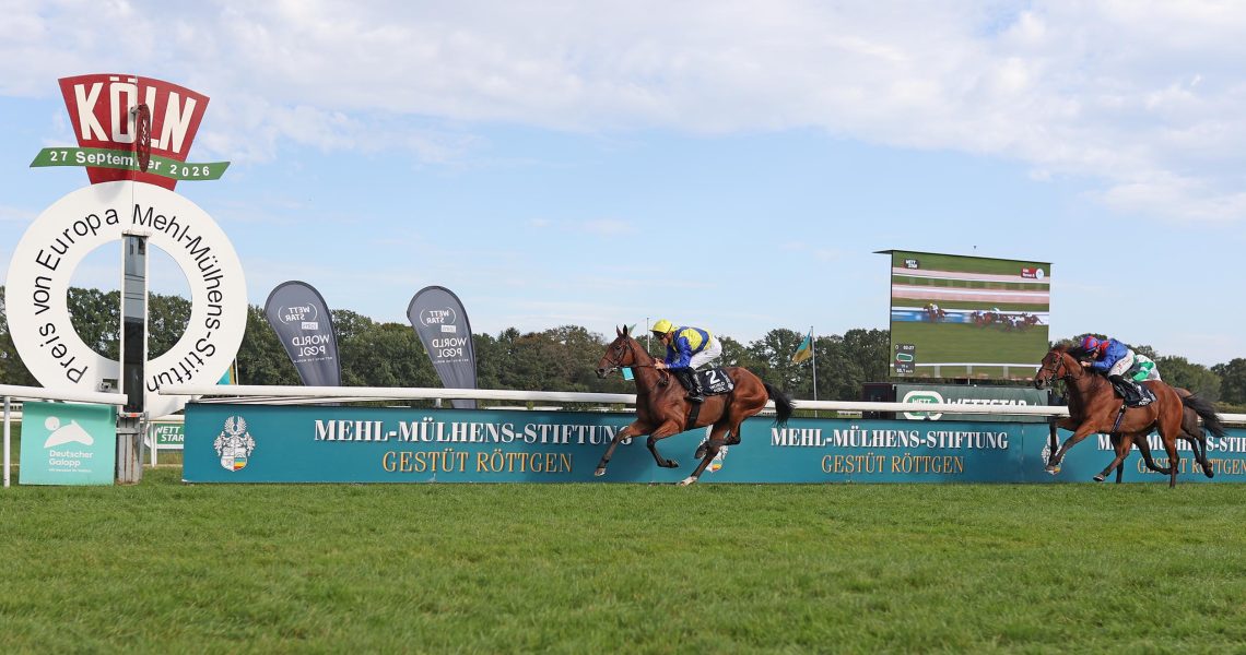 27.09.2026_Goliath gewinnt unter Christophe Soumillon im Mehl-Mülhens-Stiftung - 64. Preis von Europa, Gr. 1 in Köln. Copyright by Sabine Effgen - Veroeffentlichung nur gegen Honorar (zzgl.MwSt), Namensnennung und Beleg, Rennbahnstr. 113, Koeln, Phone: +49-(0)163-7414792, sabine.effgen@gmail.com, No Model Release, Abtretung von Persoenlichkeitsrechten der abgebildeten Person/Personen liegen nicht vor. Speichern in Bilddatenbanken oder Vervielfaeltigung ist ohne schriftliche Genehmigung nicht gestattet.
