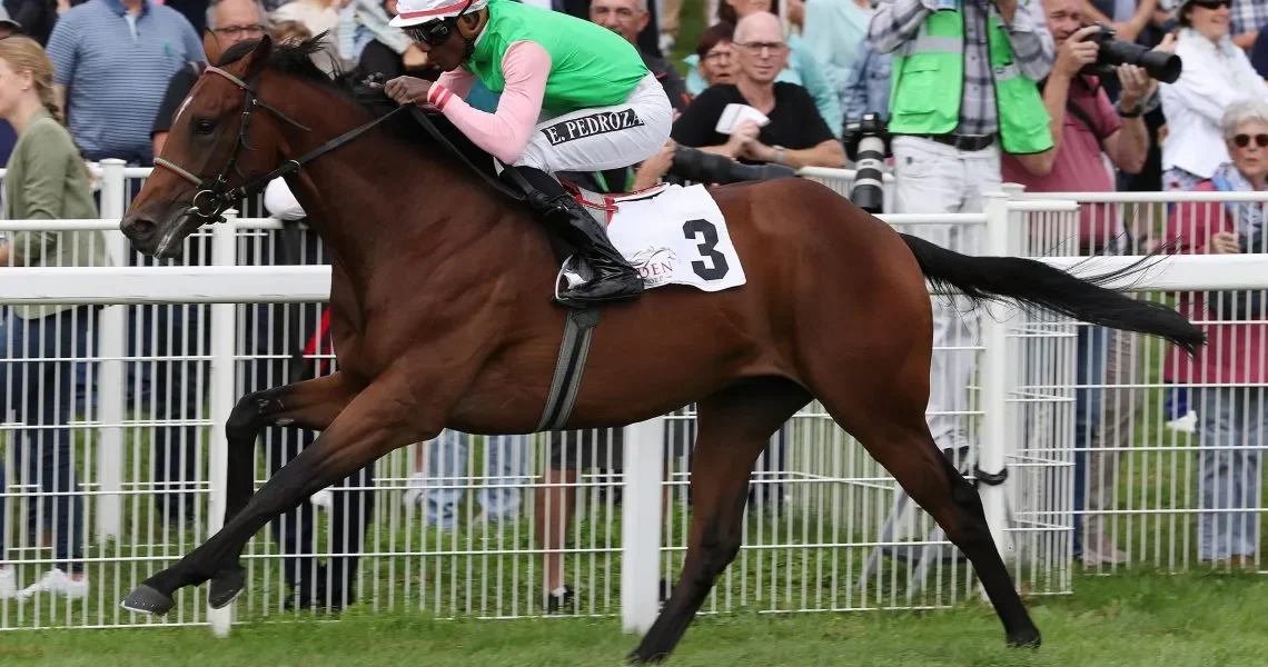 Gostam-in-Baden-Baden-rcy00tdt7nhmzl90abm23b15gknht04l1j5tu5nfqo