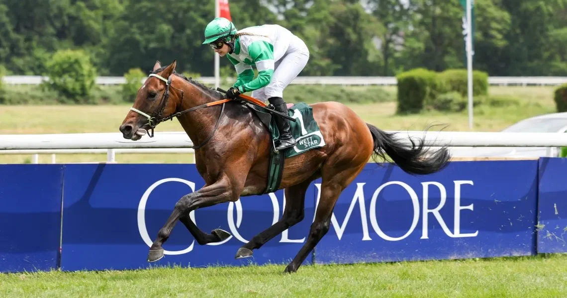 Hochkoenig-gewinnt-unter-Nina-Baltromei-im-Herzensprojekt-Cup250518-_-14-r6urjejca3qskr2ohtjvadgo8qczvy1zjidymn5v8w