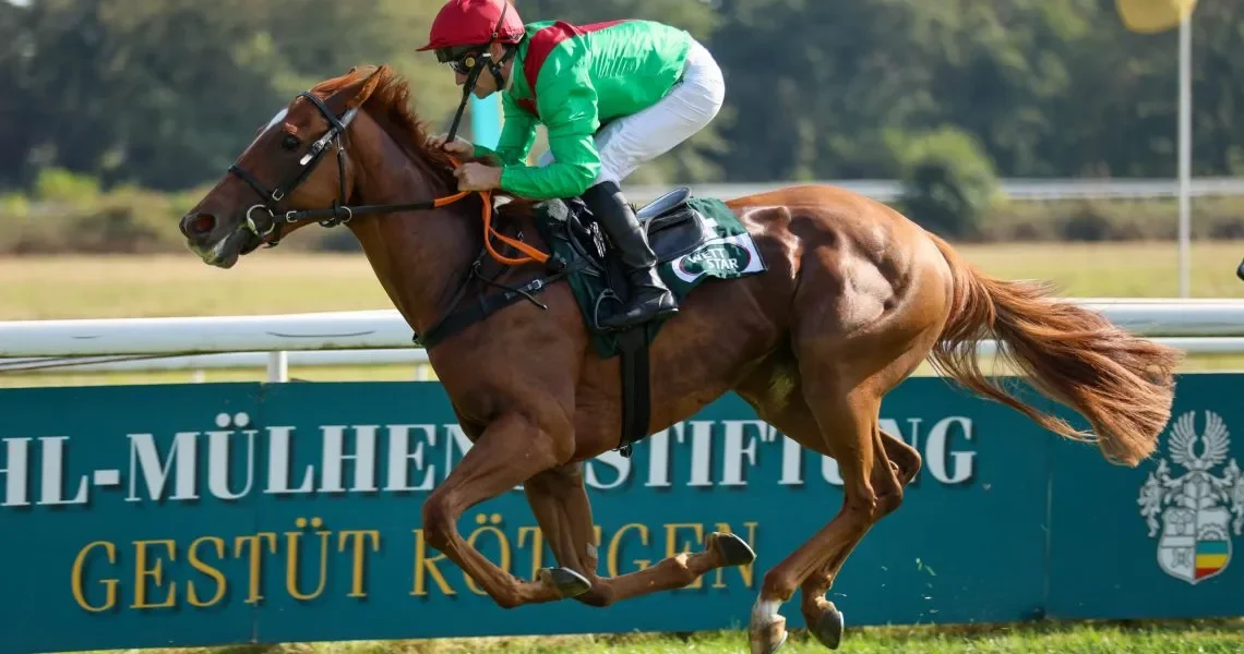 Impressionen-um-den-Preis-von-Europa_copyright-sabine.effgen-195-r543k9magoceymlaumq4h8b4o7fjswlbtwmqy7nlo0