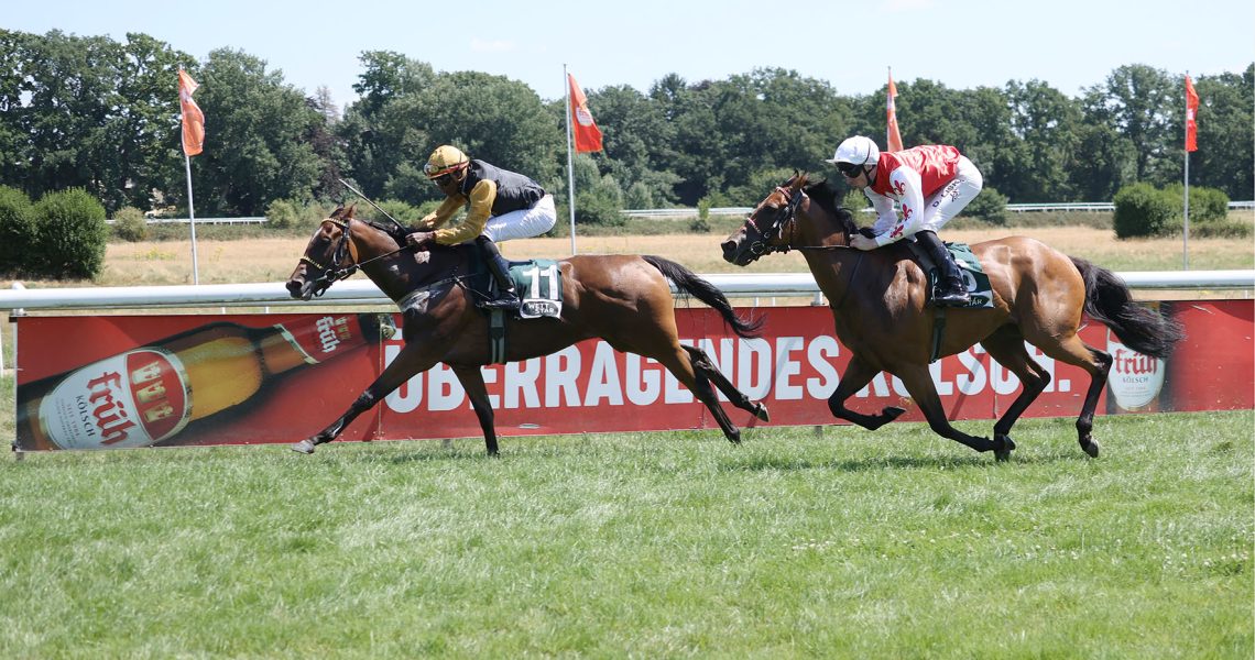 Ort : Koeln
Datum : 11.07.2026
Rennen : 5 Grosser Preis der KKG Nippeser Buergerwehr 1903 e.V.. Agl.II -1400m
Sieger : Nightdance Wood
Reiter : Eduardo Pedroza
Besitzer : Gestuet Bruemmerhof
Trainer : Andreas Woehler
Presserecht :
Copyright by Klaus-Joerg Tuchel - Siriusweg 16 - 42697 Solingen
Telefon ( Fon ) 0049 (0) 212 335925
Fax 0049 (0) 212 2331034
Mobil 0172 256 1954
www.klatuso.com
mail@klatuso.com
Umsatzsteuer Identifikationsnummer - DE 120923039
Mehrwertsteuersatz 19% Stand 01.01.2007
Bankverbindung : auf Anfrage
Bestellnummer :