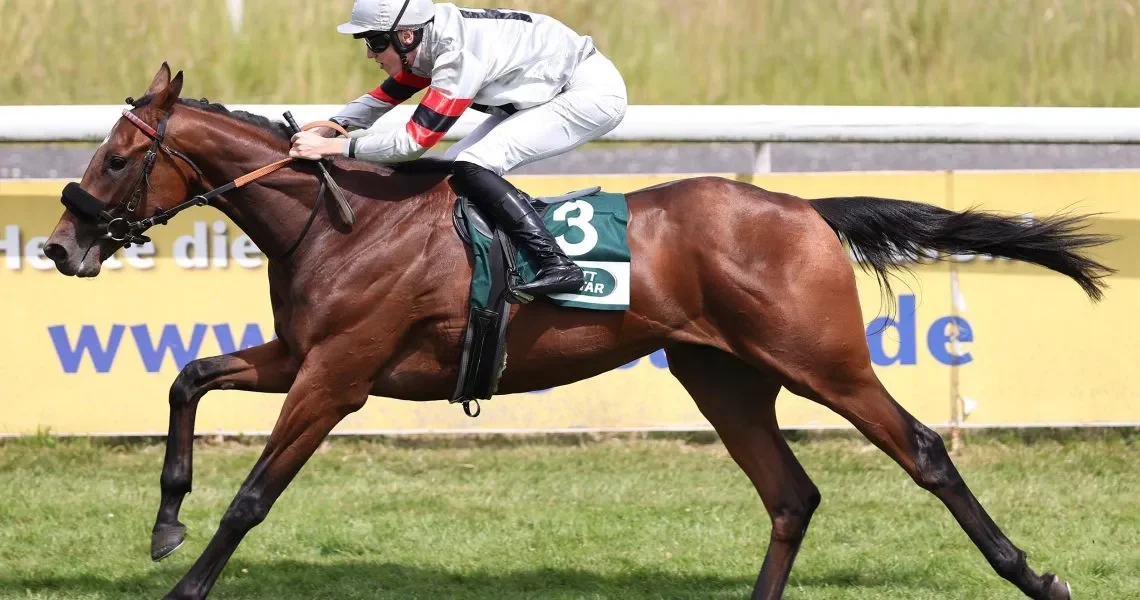 Perito-r9kg1jqcgxl12i0llu3rbs69wnxqqe16mckxscrhbk