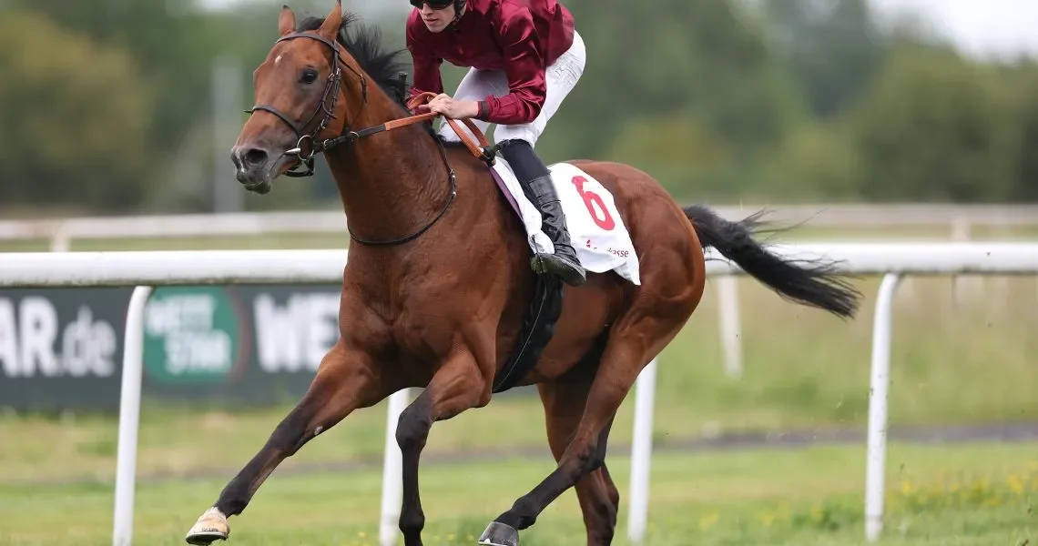 Schiergen-siegt-unter-Leon-Wolff-am-29.05.2025-Renntag-in-Dortmund-r7frempb9zv1oj8z1iubb7ri8for2bqmeku65yt08g