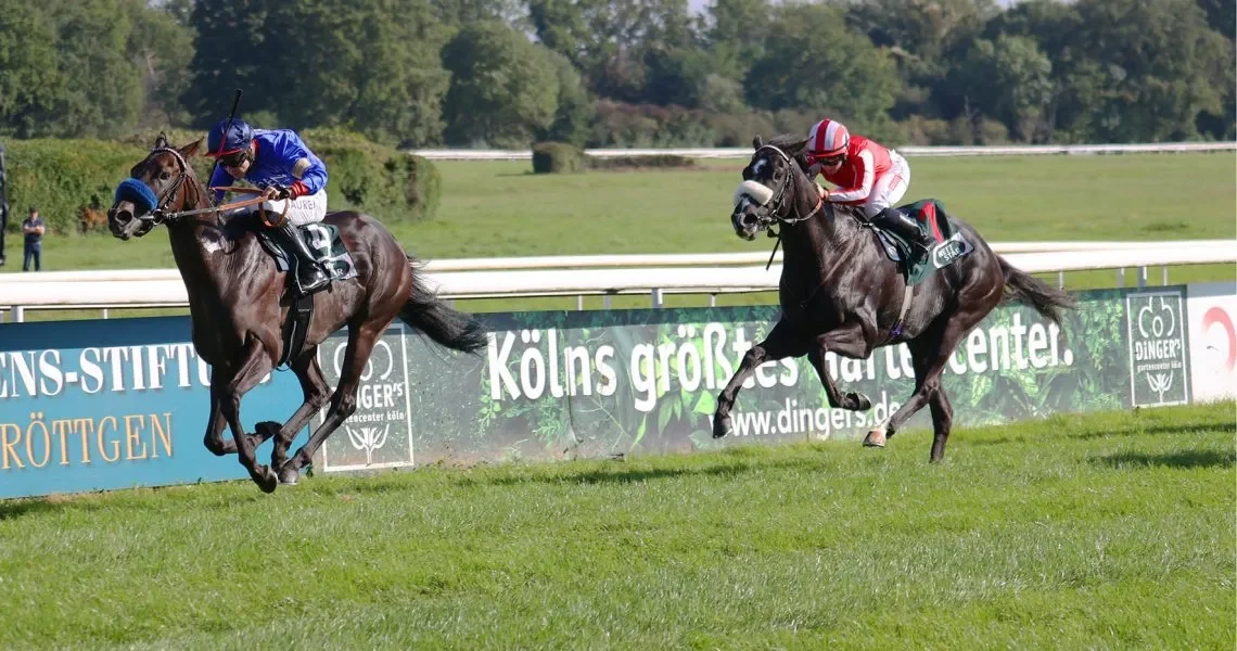 Shootout-unter-Thore-Hammer-Hansen-in-der-Dinger´s-Gartencenter-Koeln-Sprint-Trophy-rcfdq8fj5ejivo9lxquhikow1x7wyre0q8nk94azxs