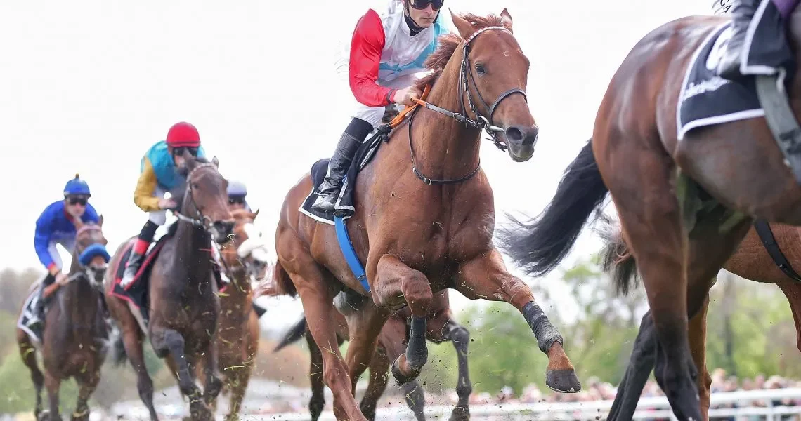 Tuennes-am-23.04.2023-Renntag-in-Koeln.-Copyright-by-Marc-Ruehl-r3h1z8tmw2u1bvn8vhy0mjla67t5q4fsu0f85w4ynk