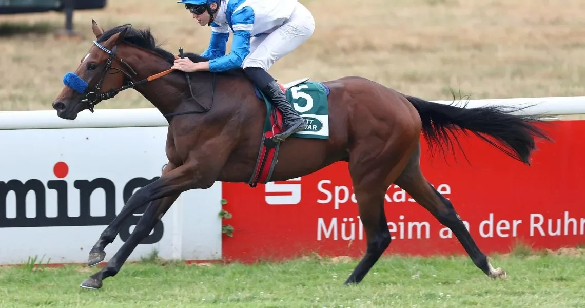 Voitton-siegt-unter-Leon-Wolff--r9kg278b7sh74r2gsm9fk48srapx2tmh1kw2s9sn00