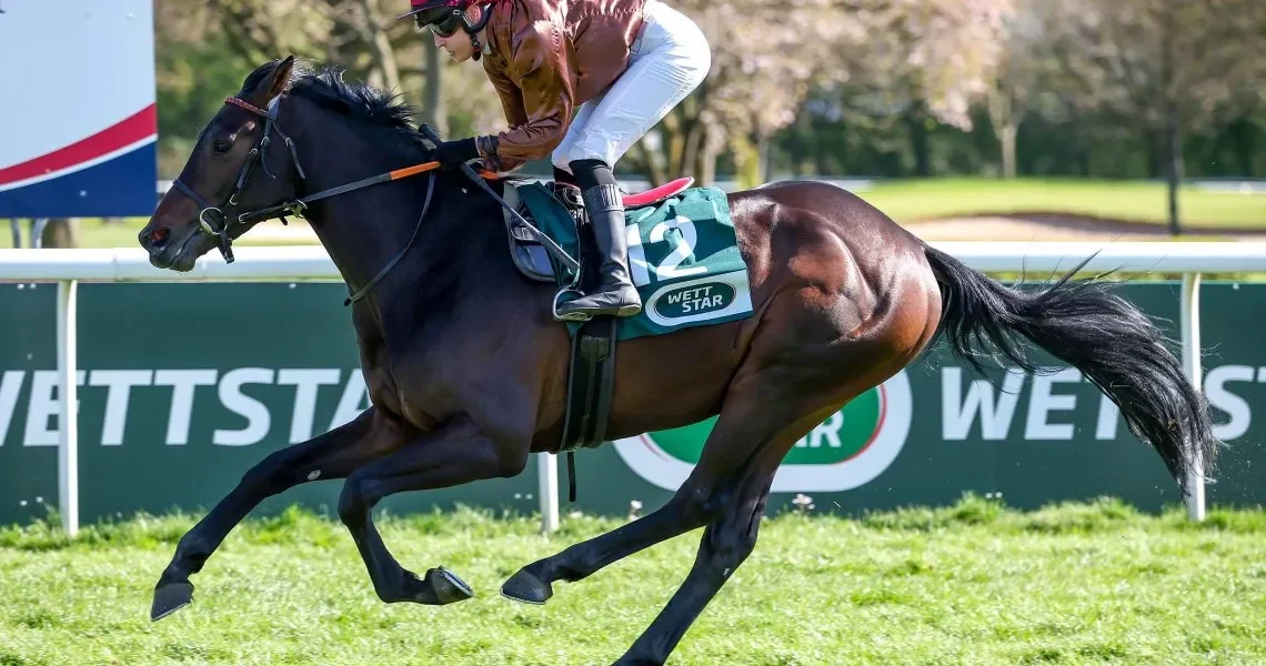 Zuckerhut-siegt-unter-Sybille-Voigt-r6urjuiliaco24fgwigiyrfica68istf9ph7sci6b4